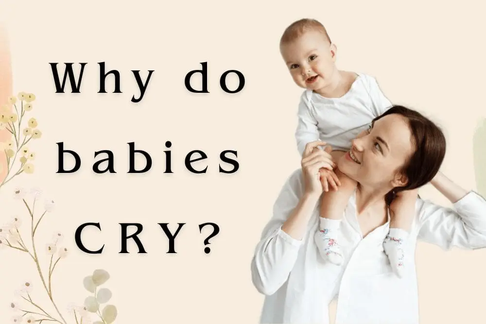 A parent asks, Why do babies cry so much?